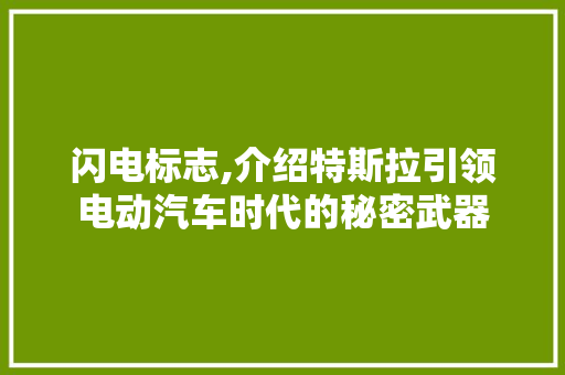 闪电标志,介绍特斯拉引领电动汽车时代的秘密武器