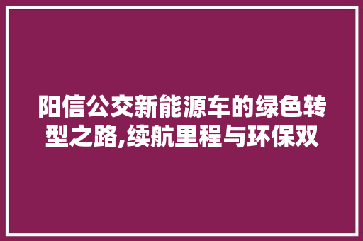 阳信公交新能源车的绿色转型之路,续航里程与环保双丰收