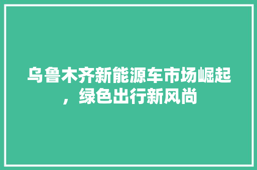 乌鲁木齐新能源车市场崛起，绿色出行新风尚 汽车配件