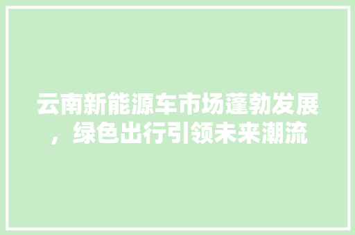 云南新能源车市场蓬勃发展，绿色出行引领未来潮流
