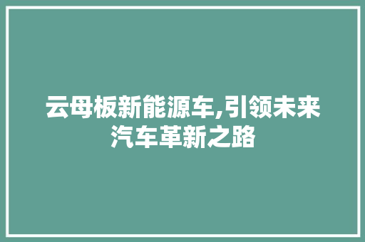 云母板新能源车,引领未来汽车革新之路