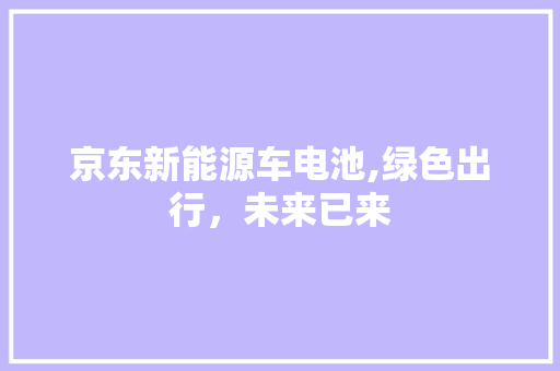 京东新能源车电池,绿色出行，未来已来