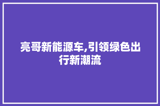 亮哥新能源车,引领绿色出行新潮流