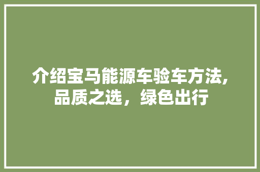 介绍宝马能源车验车方法,品质之选，绿色出行