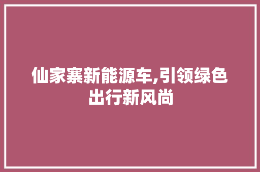仙家寨新能源车,引领绿色出行新风尚
