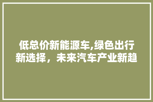 低总价新能源车,绿色出行新选择，未来汽车产业新趋势
