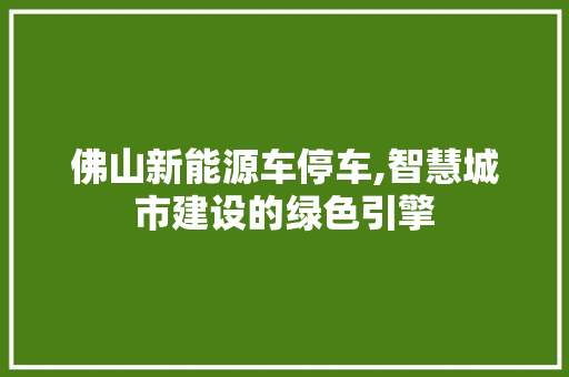 佛山新能源车停车,智慧城市建设的绿色引擎