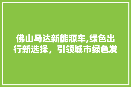 佛山马达新能源车,绿色出行新选择，引领城市绿色发展潮流