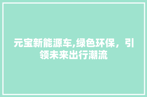 元宝新能源车,绿色环保，引领未来出行潮流