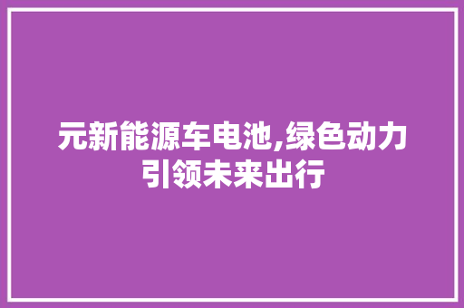 元新能源车电池,绿色动力引领未来出行