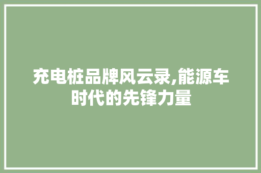 充电桩品牌风云录,能源车时代的先锋力量