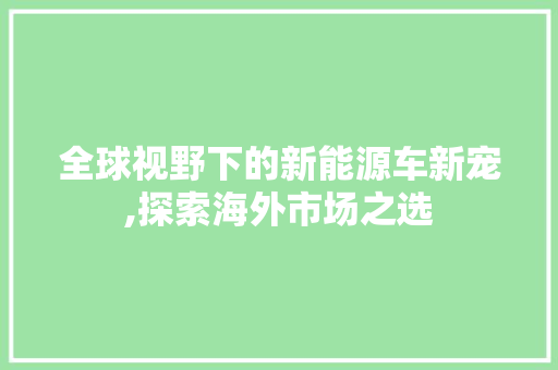 全球视野下的新能源车新宠,探索海外市场之选