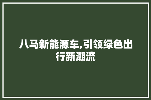 八马新能源车,引领绿色出行新潮流