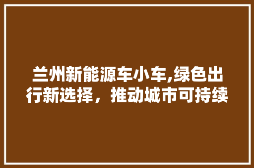 兰州新能源车小车,绿色出行新选择，推动城市可持续发展