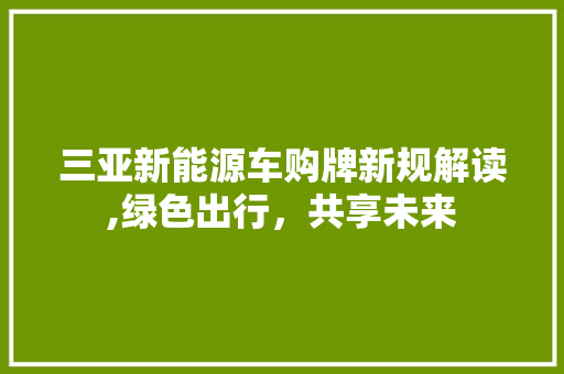 三亚新能源车购牌新规解读,绿色出行，共享未来 车型评测