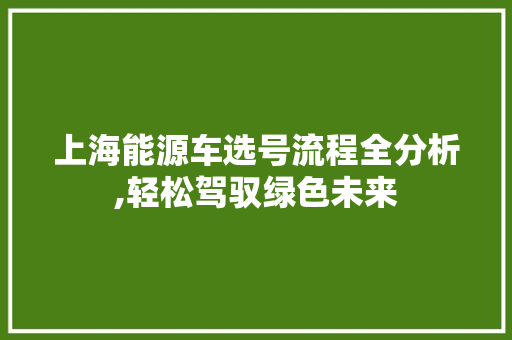 上海能源车选号流程全分析,轻松驾驭绿色未来