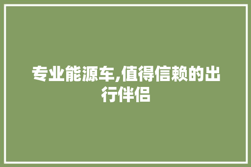 专业能源车,值得信赖的出行伴侣