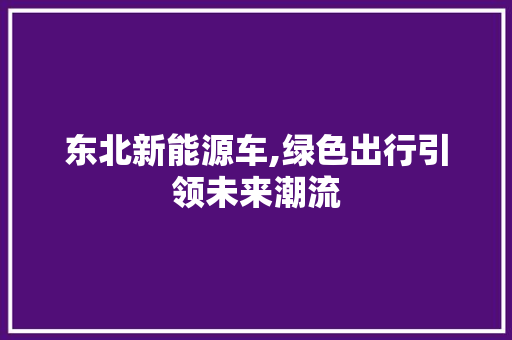 东北新能源车,绿色出行引领未来潮流