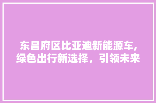东昌府区比亚迪新能源车,绿色出行新选择，引领未来交通潮流