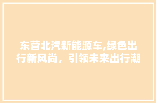 东营北汽新能源车,绿色出行新风尚，引领未来出行潮流