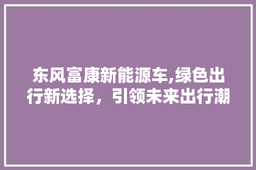 东风富康新能源车,绿色出行新选择，引领未来出行潮流