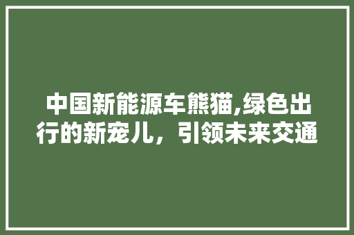 中国新能源车熊猫,绿色出行的新宠儿，引领未来交通新风尚