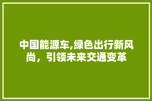 中国能源车,绿色出行新风尚，引领未来交通变革