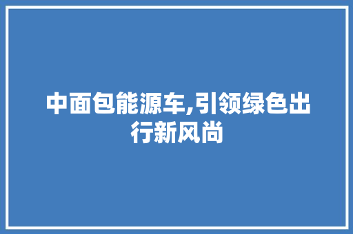 中面包能源车,引领绿色出行新风尚