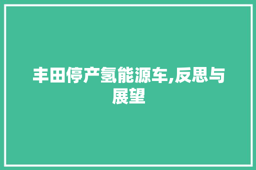 丰田停产氢能源车,反思与展望
