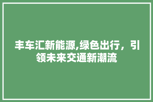 丰车汇新能源,绿色出行，引领未来交通新潮流