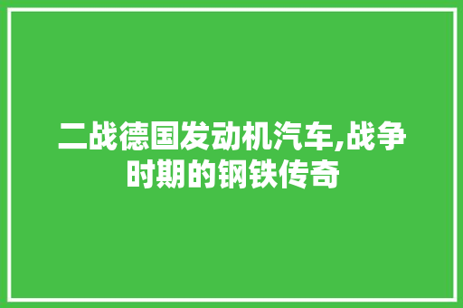 二战德国发动机汽车,战争时期的钢铁传奇