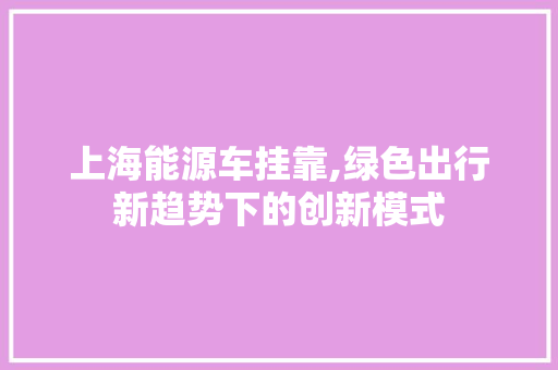 上海能源车挂靠,绿色出行新趋势下的创新模式