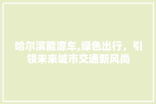 哈尔滨能源车,绿色出行，引领未来城市交通新风尚