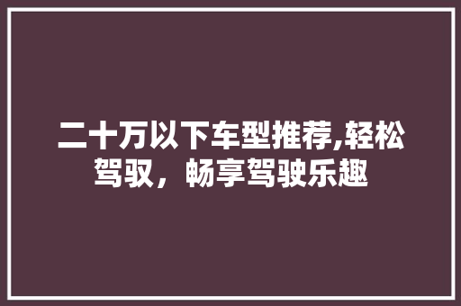 二十万以下车型推荐,轻松驾驭，畅享驾驶乐趣