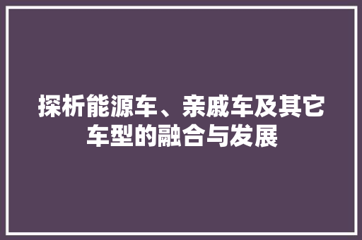 探析能源车、亲戚车及其它车型的融合与发展