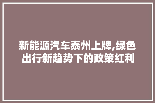 新能源汽车泰州上牌,绿色出行新趋势下的政策红利