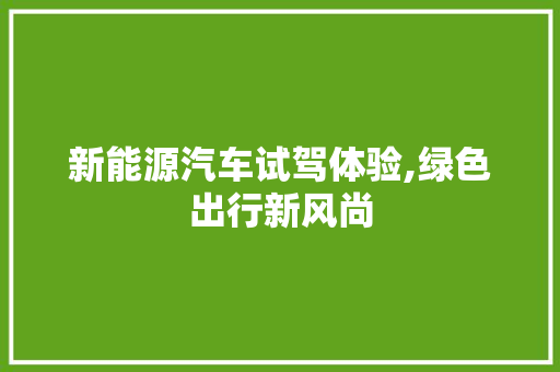 新能源汽车试驾体验,绿色出行新风尚 混合动力车