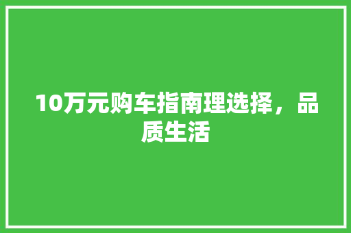 10万元购车指南理选择，品质生活