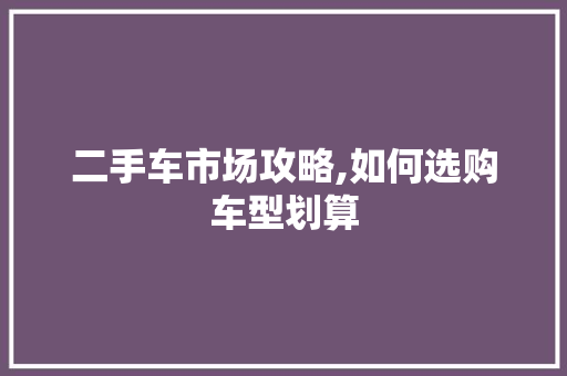 二手车市场攻略,如何选购车型划算