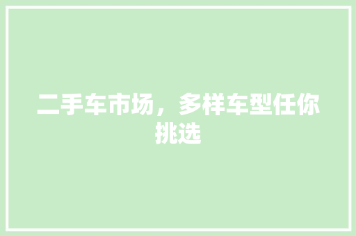 二手车市场，多样车型任你挑选 自动驾驶