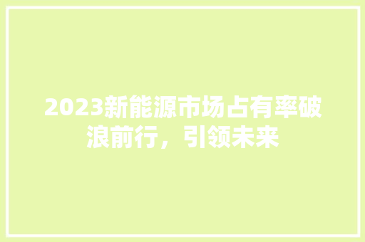 2023新能源市场占有率破浪前行，引领未来