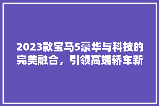 2023款宝马5豪华与科技的完美融合，引领高端轿车新潮流