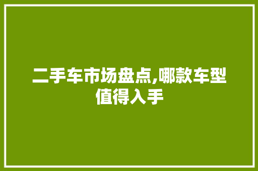 二手车市场盘点,哪款车型值得入手 新能源汽车
