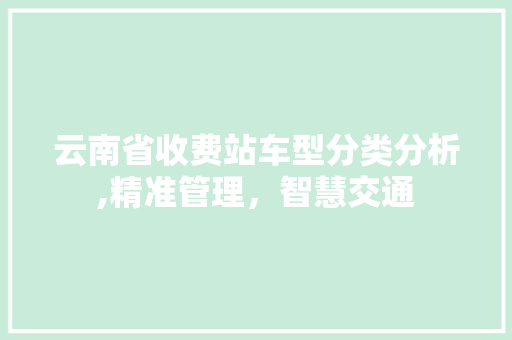 云南省收费站车型分类分析,精准管理，智慧交通