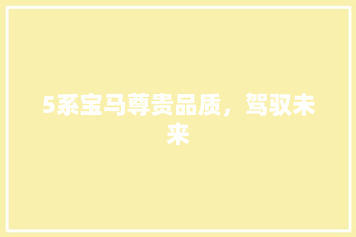 5系宝马尊贵品质，驾驭未来
