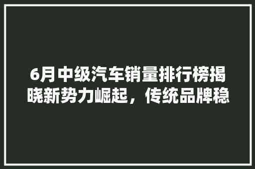 6月中级汽车销量排行榜揭晓新势力崛起，传统品牌稳扎稳打 新车资讯