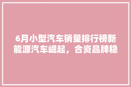 6月小型汽车销量排行榜新能源汽车崛起，合资品牌稳居前列