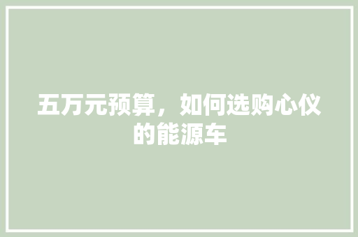 五万元预算，如何选购心仪的能源车 车联网技术