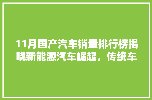 11月国产汽车销量排行榜揭晓新能源汽车崛起，传统车企稳扎稳打