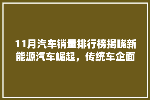 11月汽车销量排行榜揭晓新能源汽车崛起，传统车企面临挑战